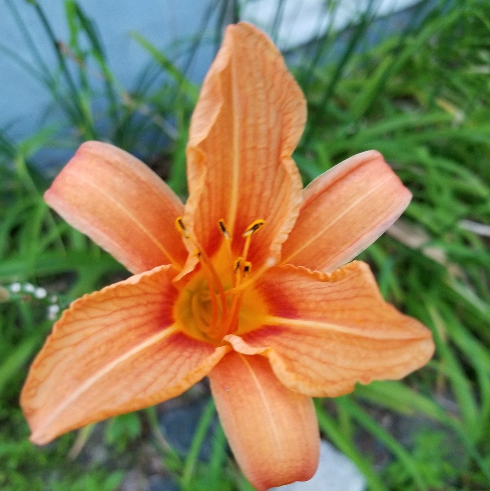 Meet your Posher, Katherine